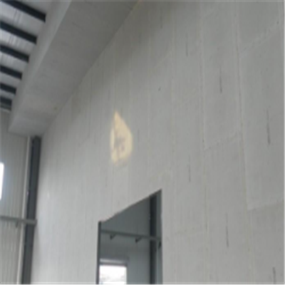 塔河新型建筑材料掺多种工业废渣的ALC|ACC|FPS模块板材轻质隔墙板